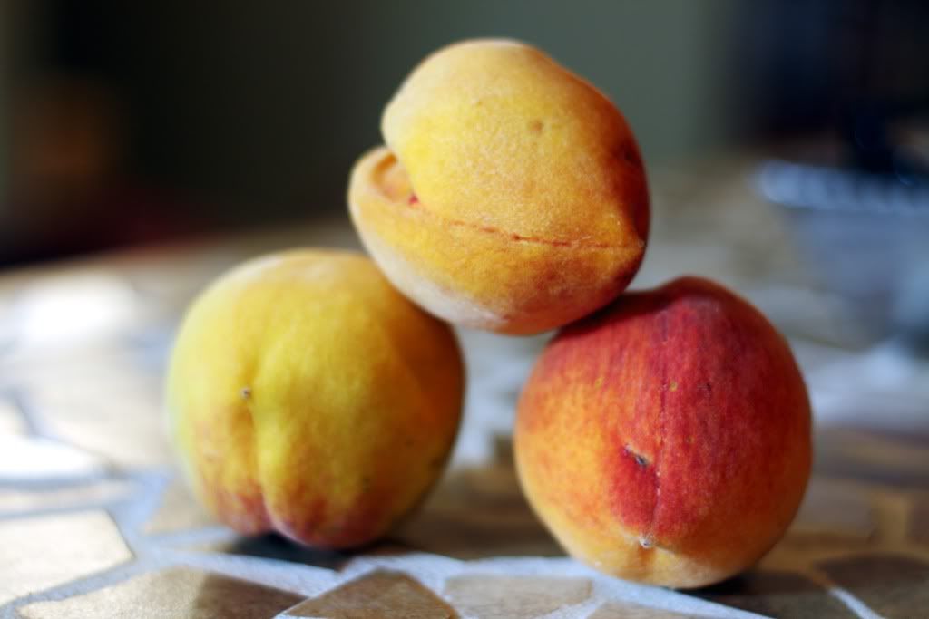 Millions of Peaches…Peaches for Me Caleigh's Kitchen