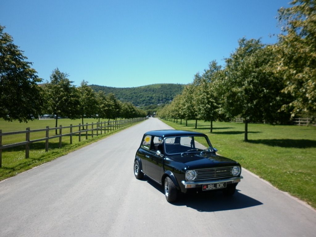 Posted Image