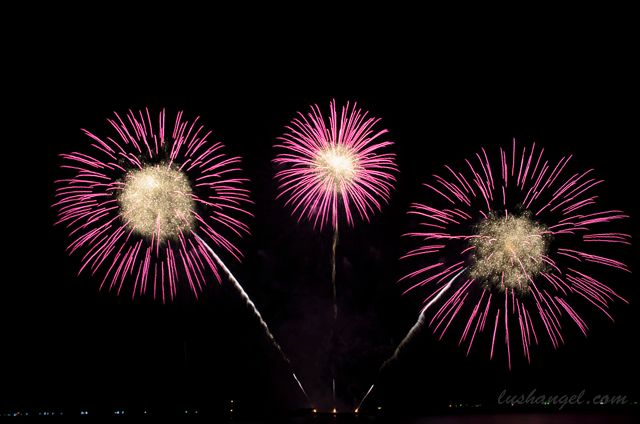 moa-fireworks
