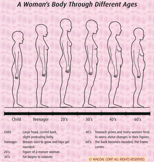 womens-body-through-different-ages