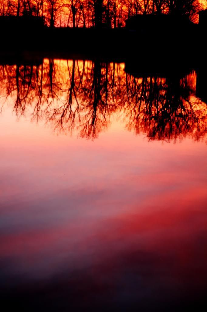 sunrise reflection photo sunrisereflection_zps12162d7e.jpg