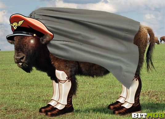 Bison