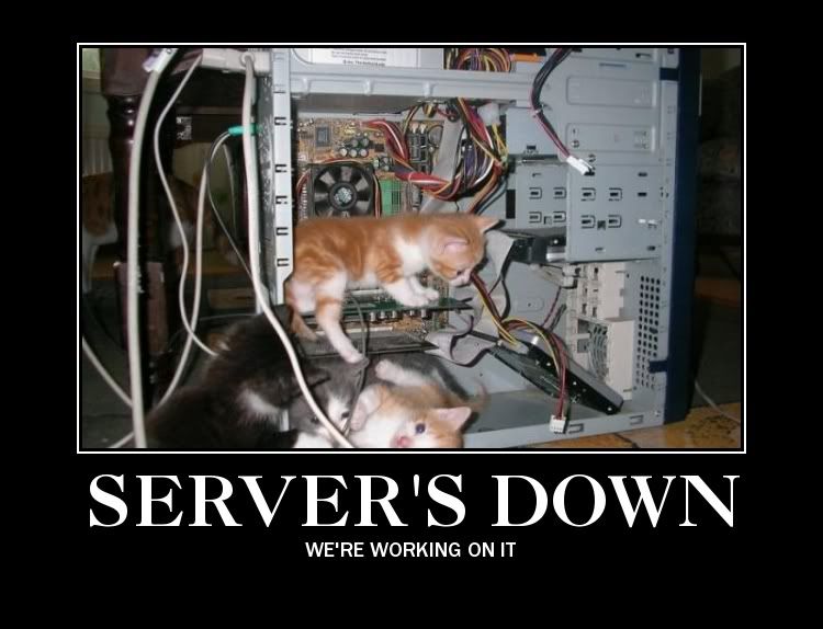 bannination-servers-down-lolcat.jpg