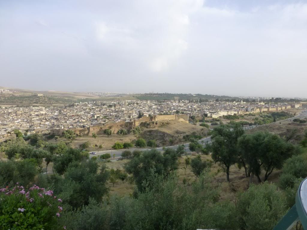 Overview of Fes.