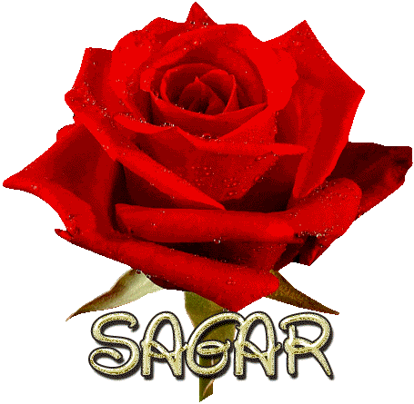 Sagar Shayar