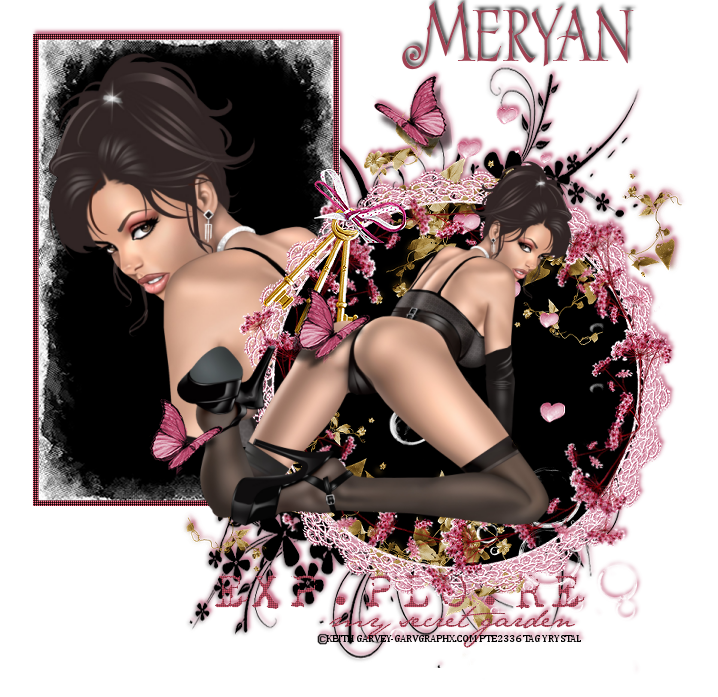 meryan5.png 