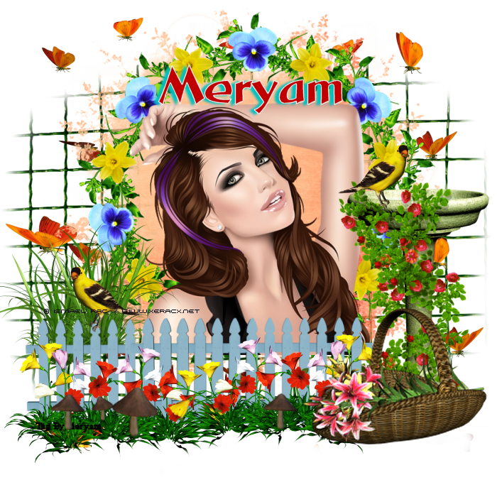 meryam.png 