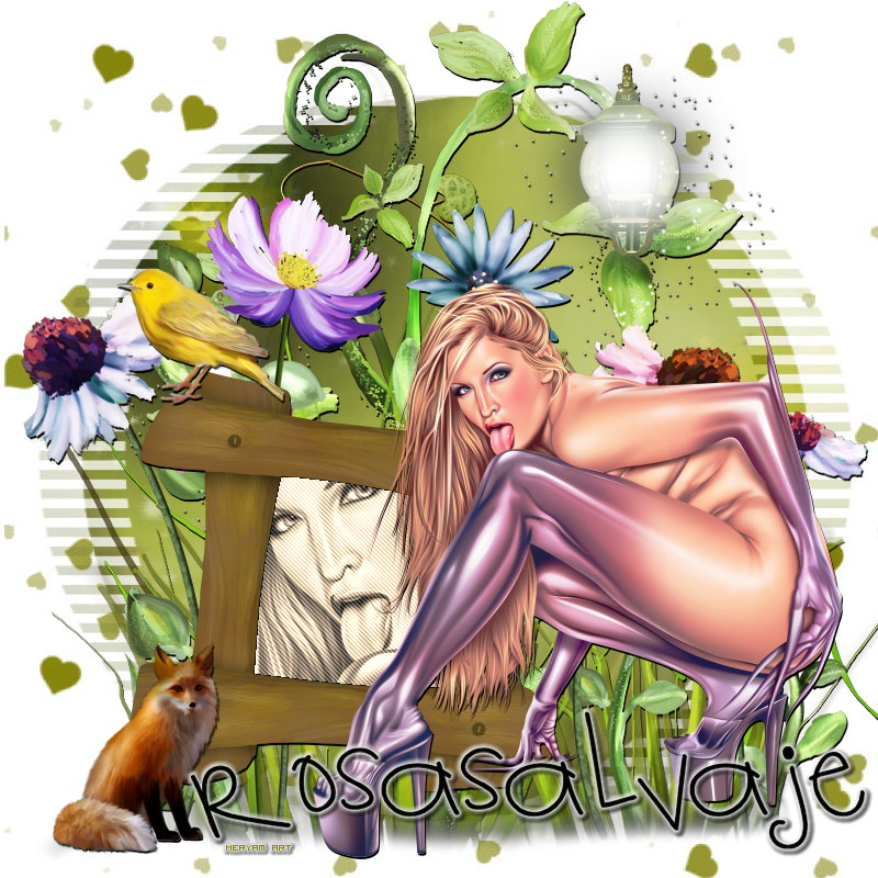  photo rosa.png
