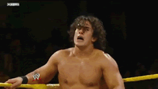 http://i1138.photobucket.com/albums/n530/JohnCenaSVR2011/DerrickBateman-CornerDropkick.gif