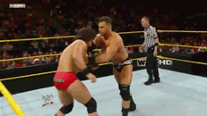 http://i1138.photobucket.com/albums/n530/JohnCenaSVR2011/DerrickBateman-flyingforarmsmash.gif