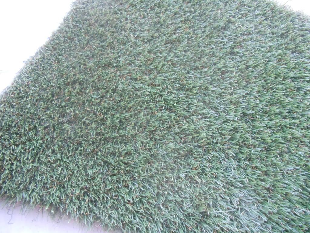 artificial grass for bearded dragons