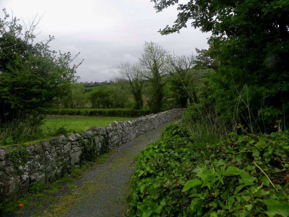 ireland1