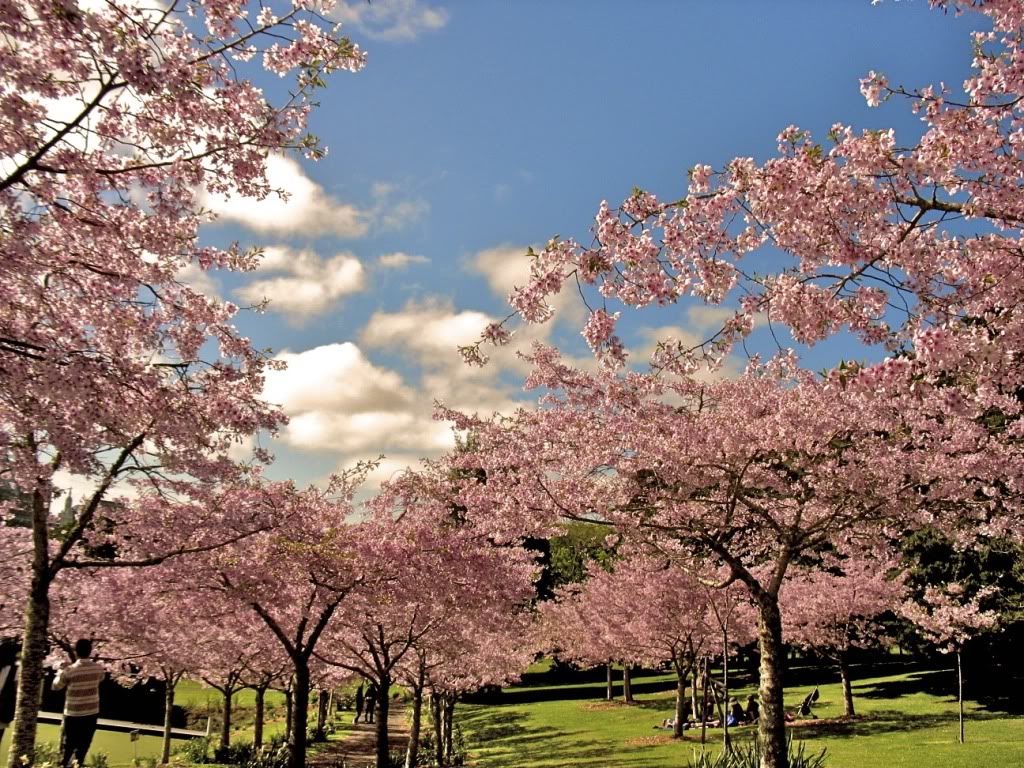 Hanami September 2010 Hanami September 2010