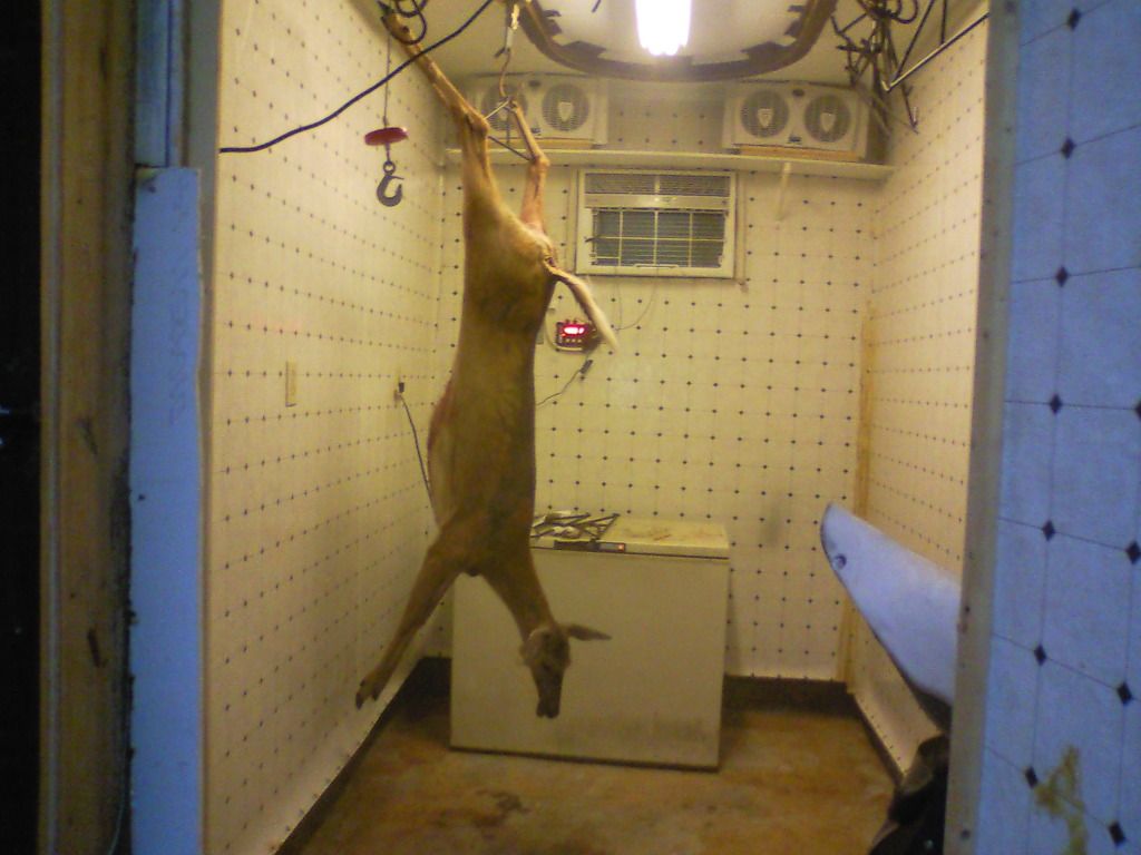 2012doe.jpg