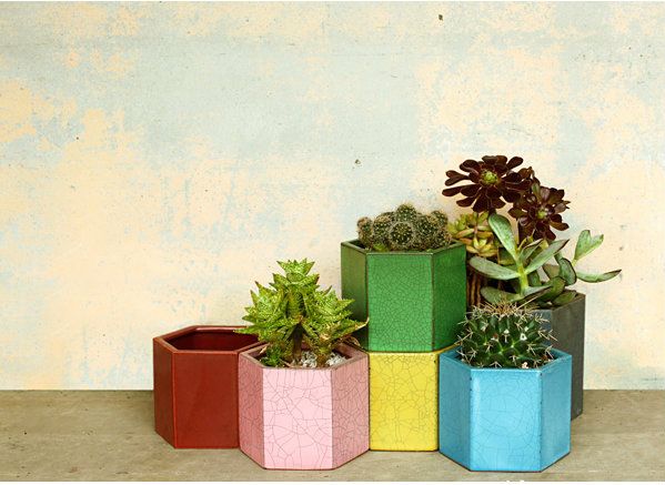 honeycomb pots