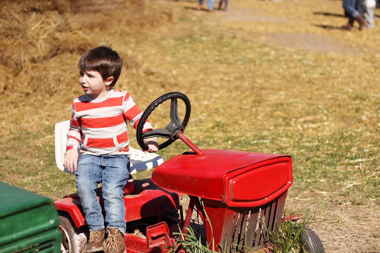 Cox Farms