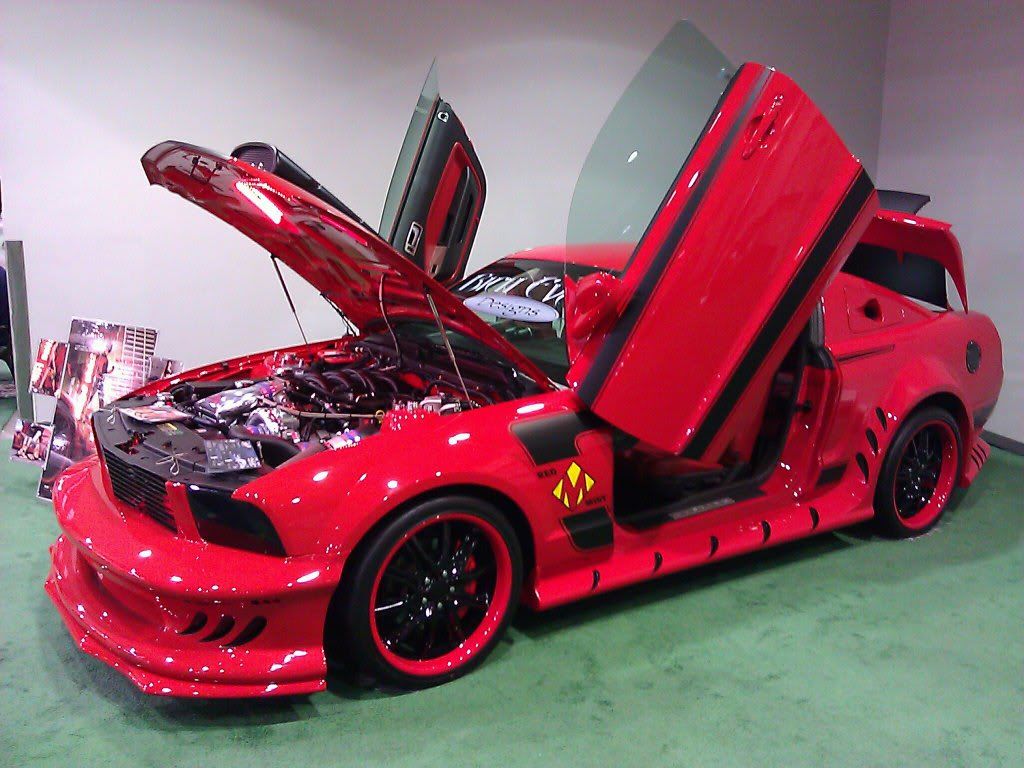 Nov_5_2010_5862.jpg
