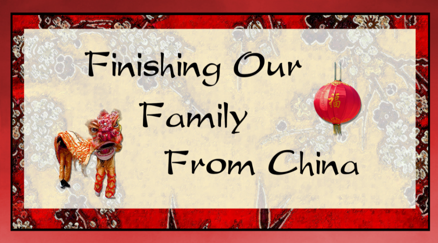 Finishing Our Family From China