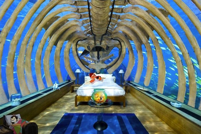 i1138.photobucket.com