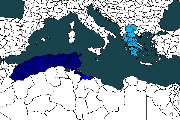 TurnIExpansion.png