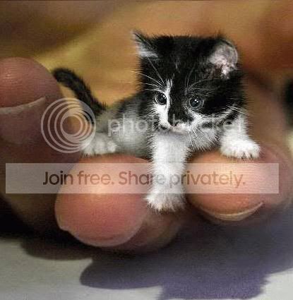 ui2ik22bbb3c5ebviewattth12ea843f5a3.jpg