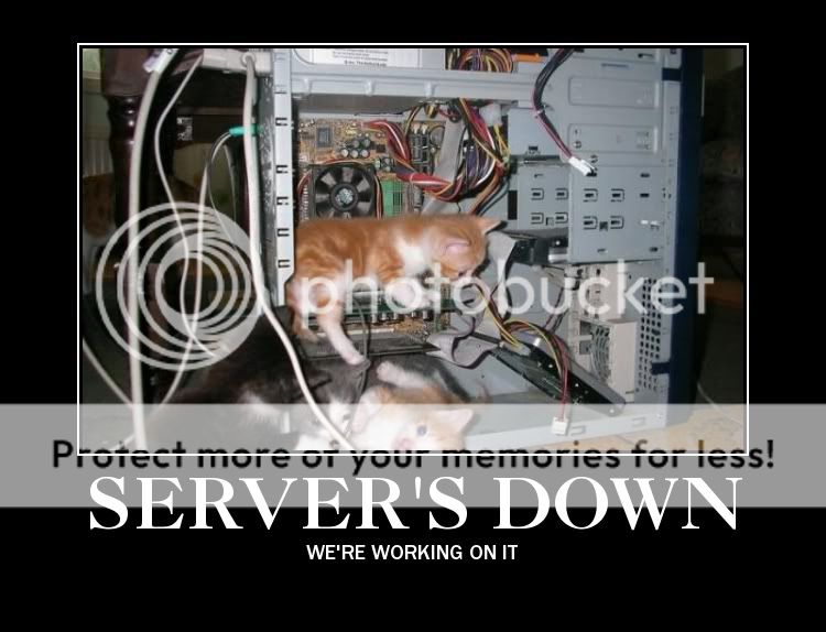 bannination-servers-down-lolcat.jpg