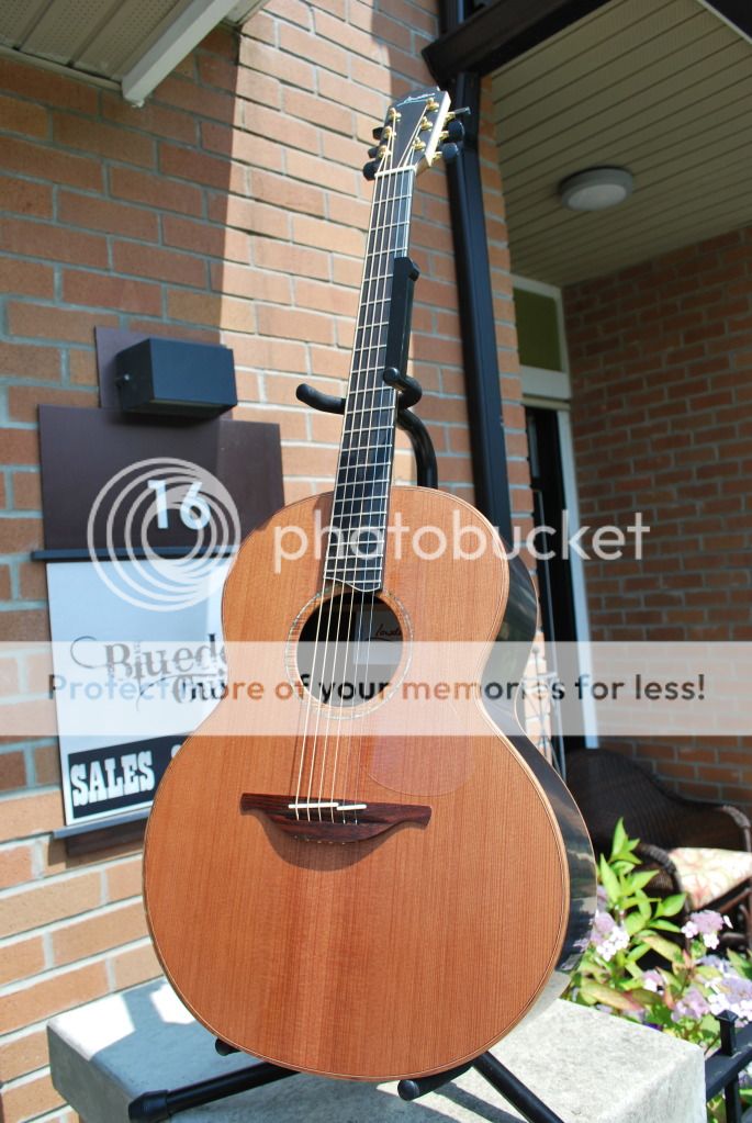 Lowden F50 African Blackwood & F35X Cocobolo Bluedog Guitars The