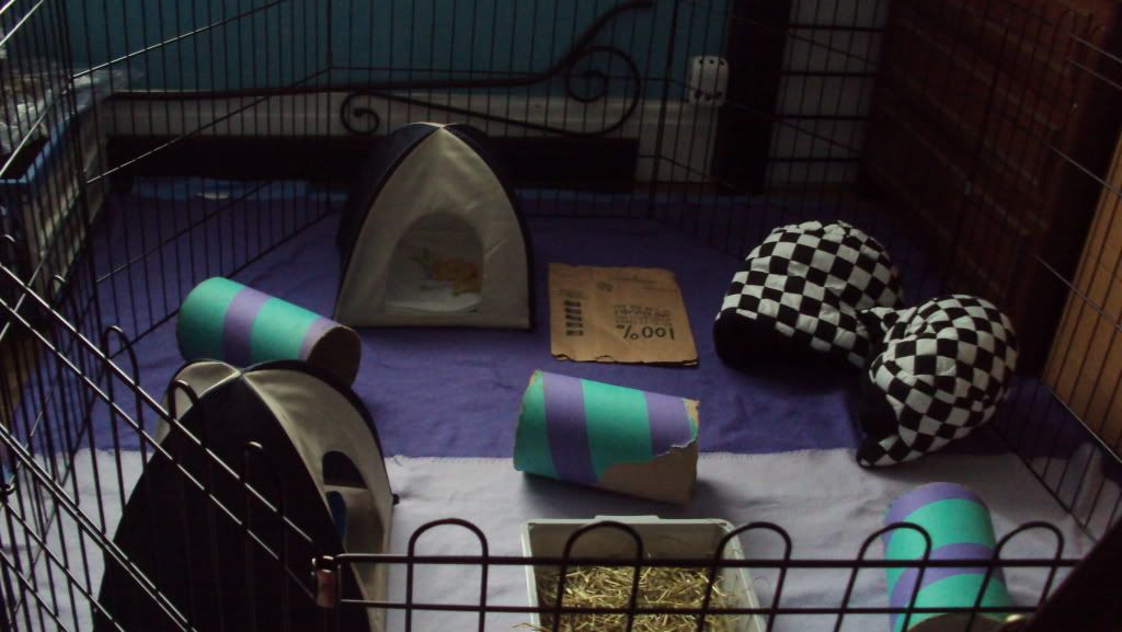DSC01502.jpg