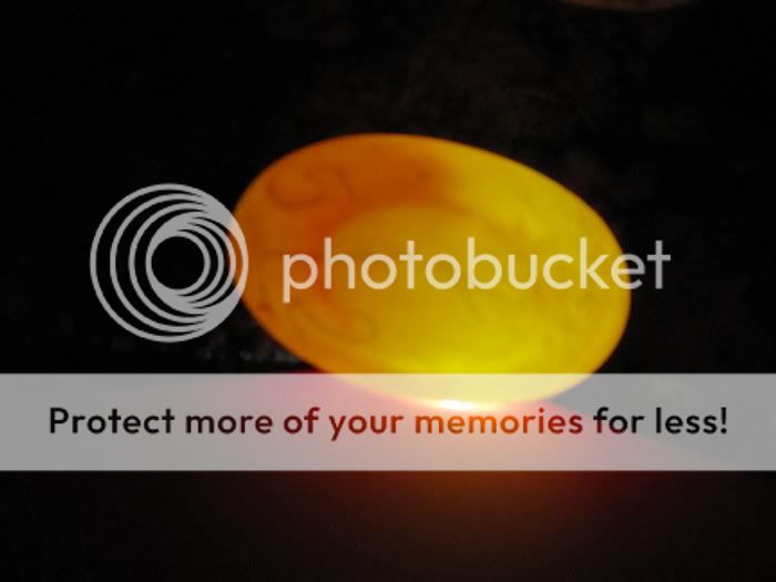 Candled eggs Tortoise Forum